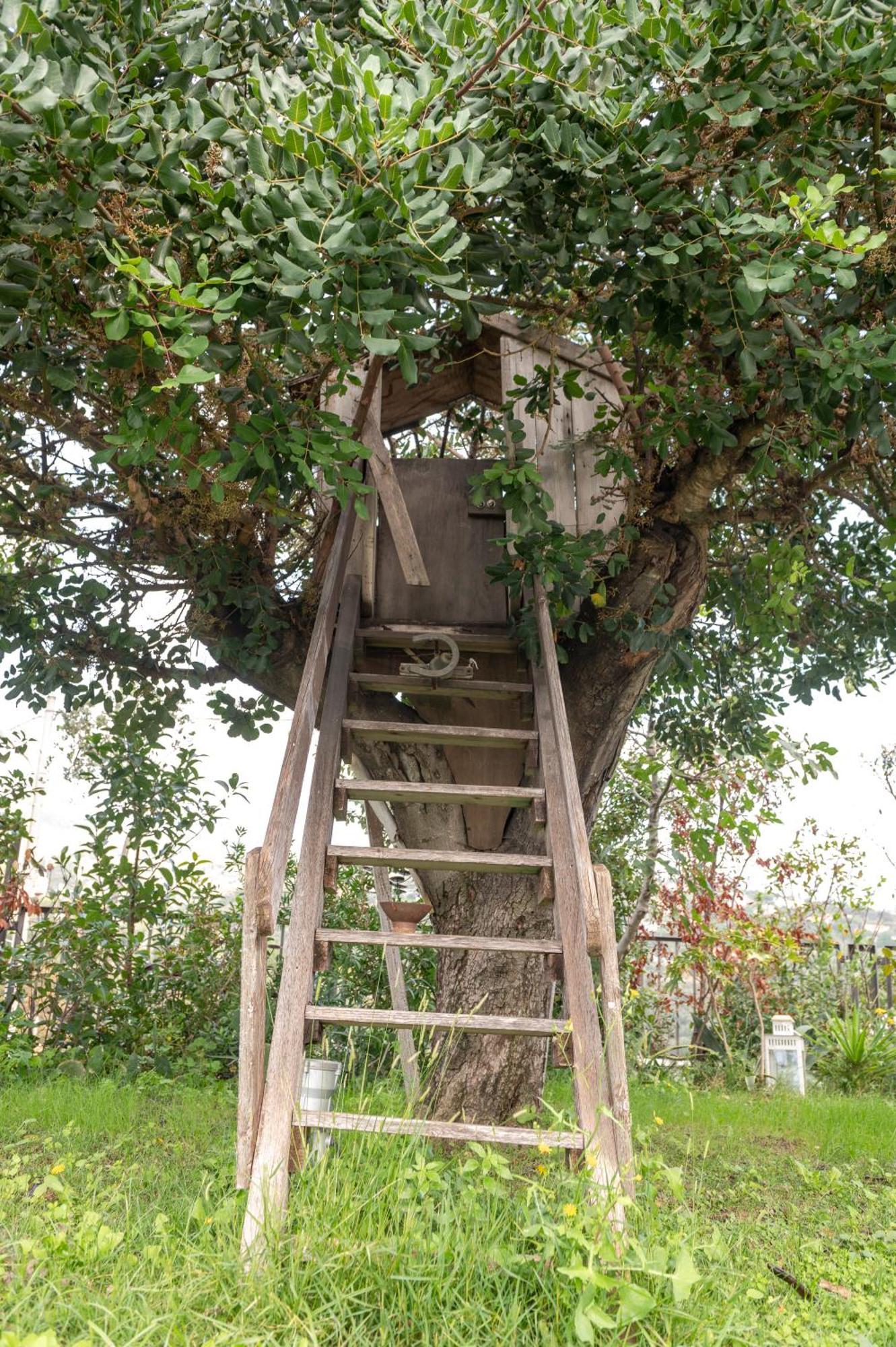אלביסולה סופריורה Villa Verney מראה חיצוני תמונה